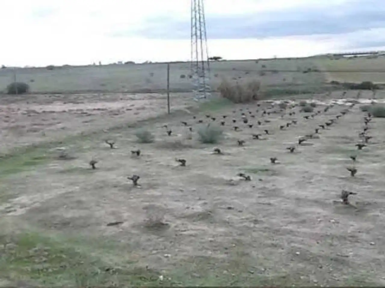 Terreny residencial en venda a El Pijorro, imagen 3