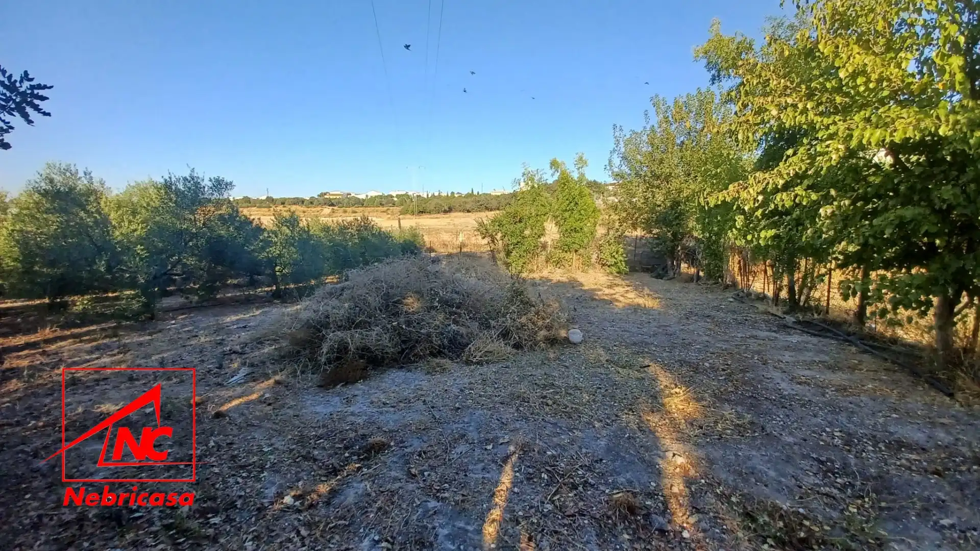 Lands and plots for sale in El Cuervo de Sevilla, imagen 10
