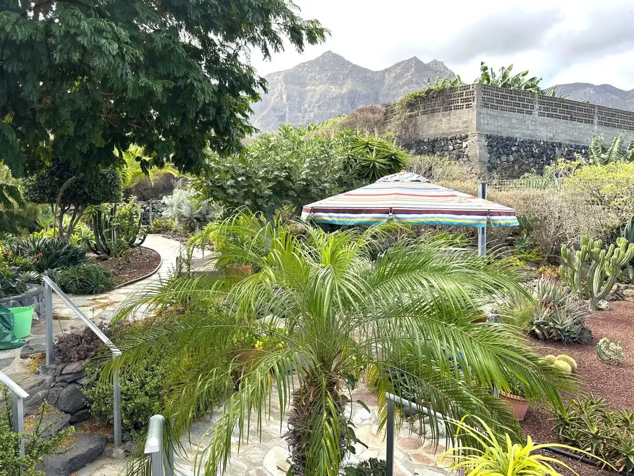 Jardí de Casa o xalet en venda en Buenavista del Norte amb Jardí privat i Terrassa