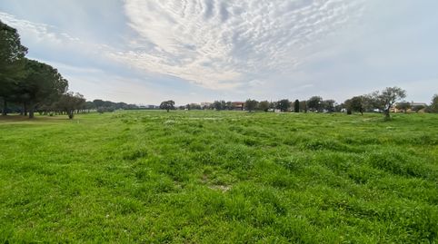 Esta parcela de 2.929 m en el Golf de Peralada le ofrece la oportunidad de construir su futura casa en un entorno de prestigio. Ro, Bild 2