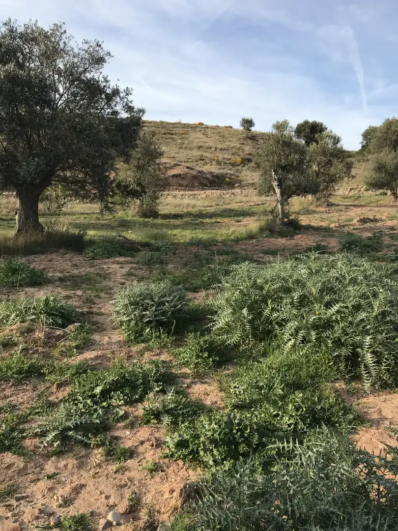 Rustikales Grundstück zum Verkauf in Murillo de Río Leza - EL QUIÑON, imagen 9