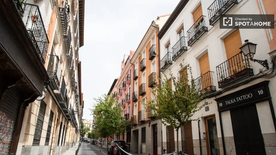 Vista exterior de Pis de lloguer en Madrid amb Aire condicionat, Calefacció i Moblat