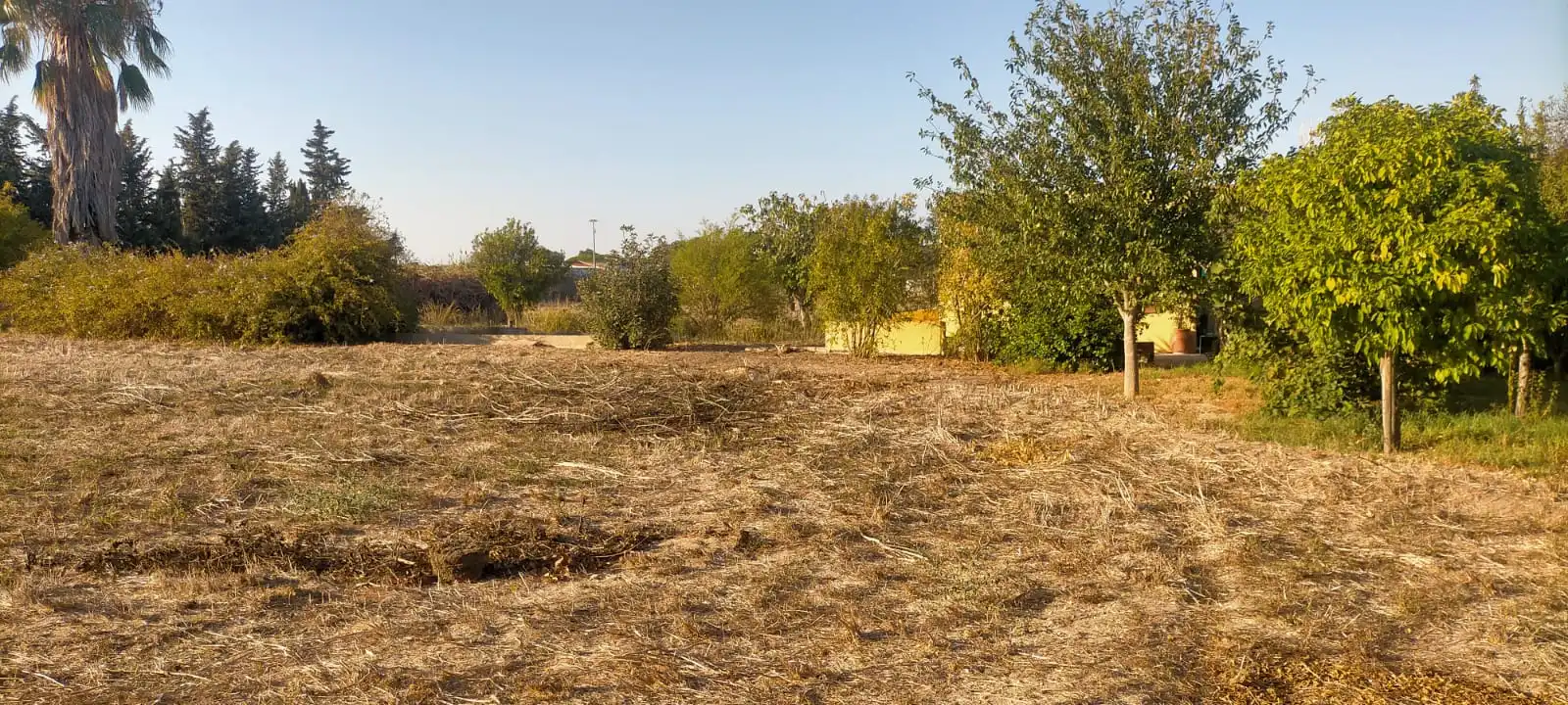 Rural land for sale in El Juncal - Vallealto, imagen 14