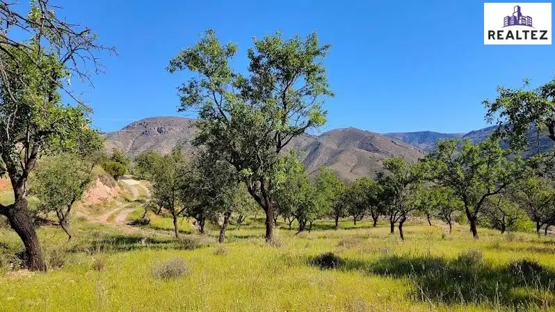 Rural land for sale in Felix, imagen 28