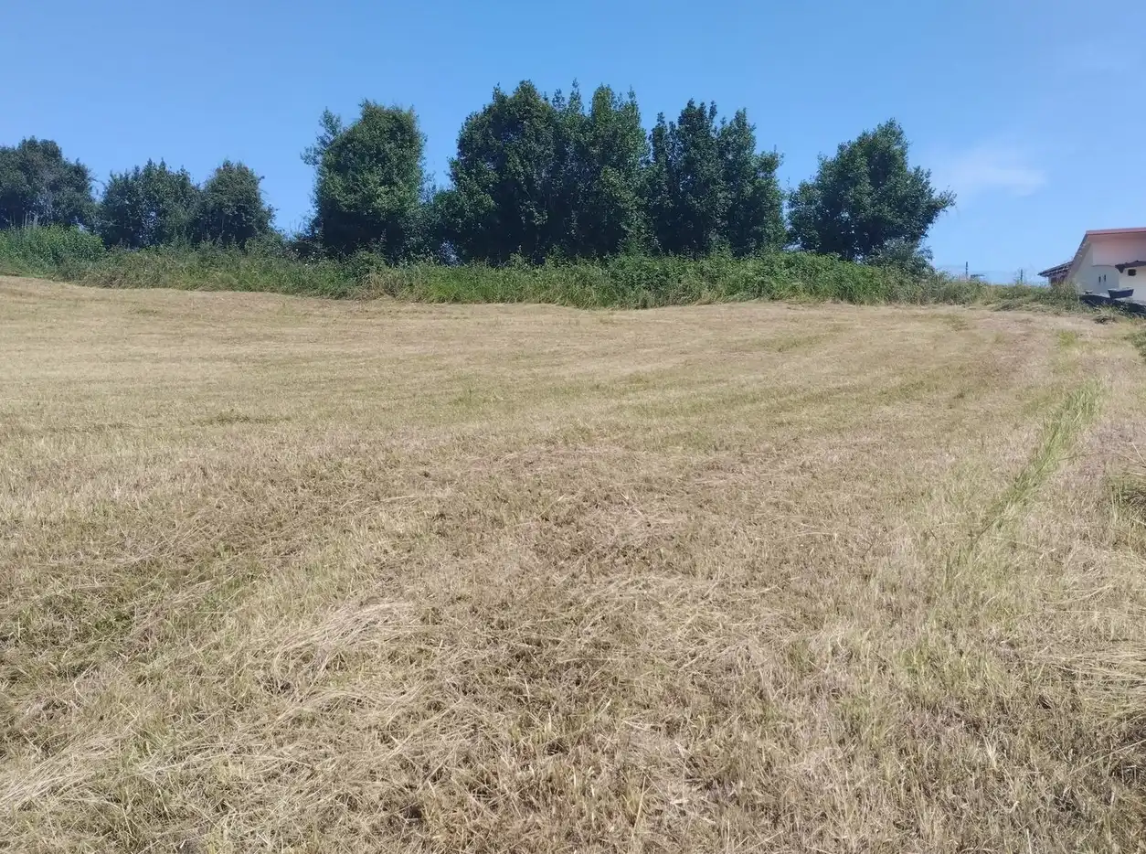 Terreny residencial en venda a Camin de los Molinos 104, imagen 10