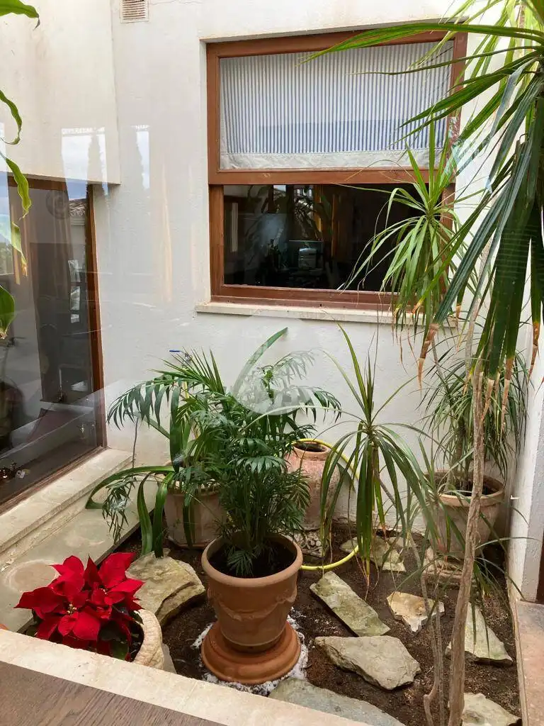Jardí de Casa o xalet en venda en Calvià