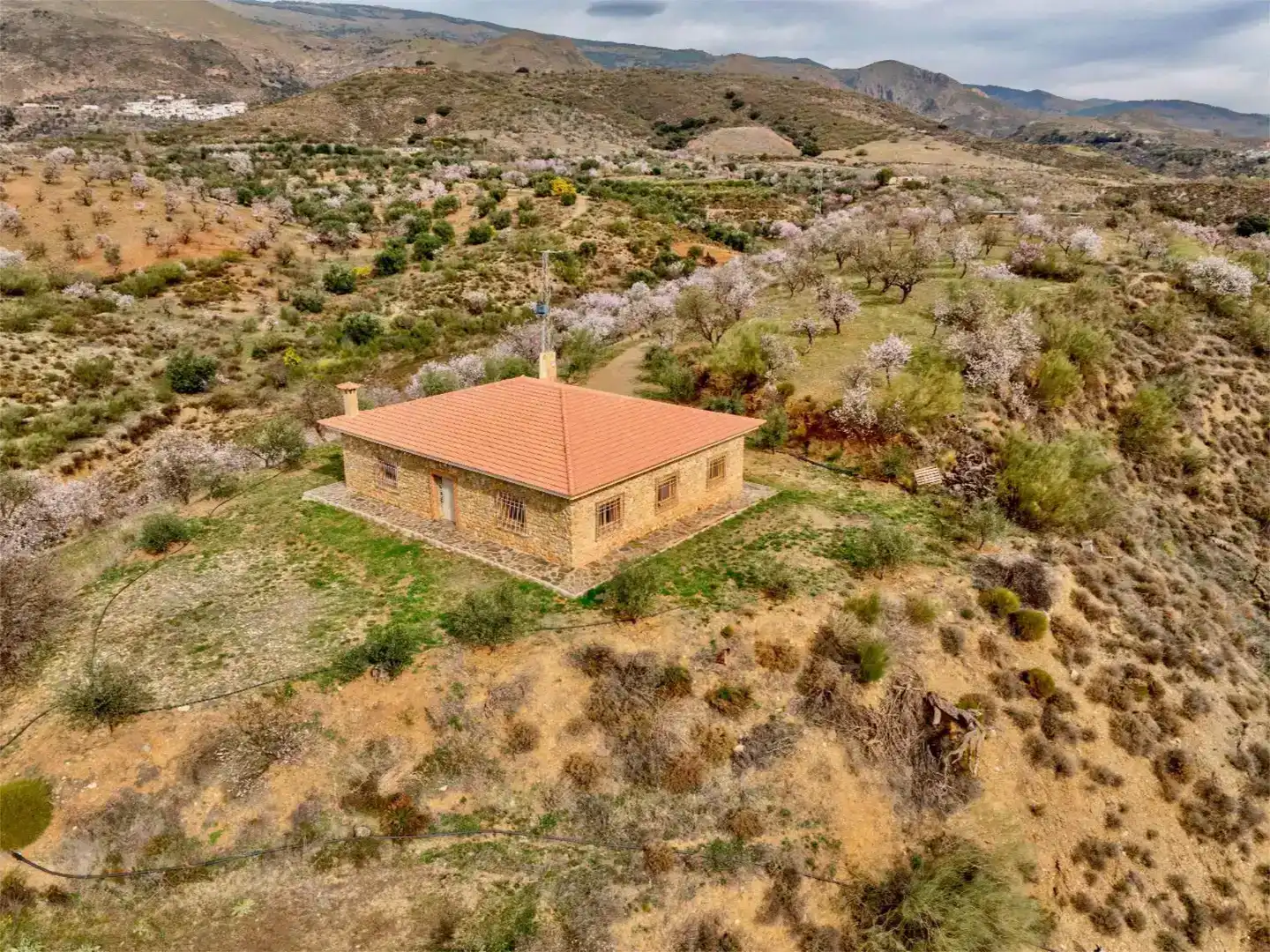 Vista exterior de Finca rústica en venda en Cádiar