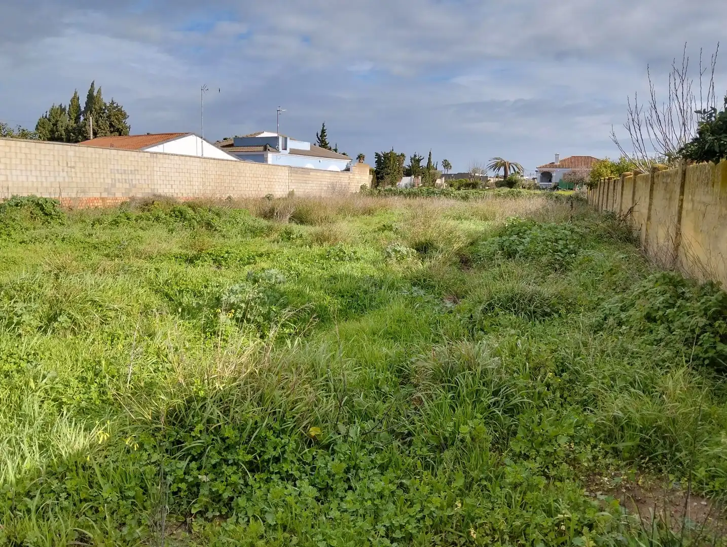 Rustikales Grundstück zum Verkauf in La Jara, imagen 3