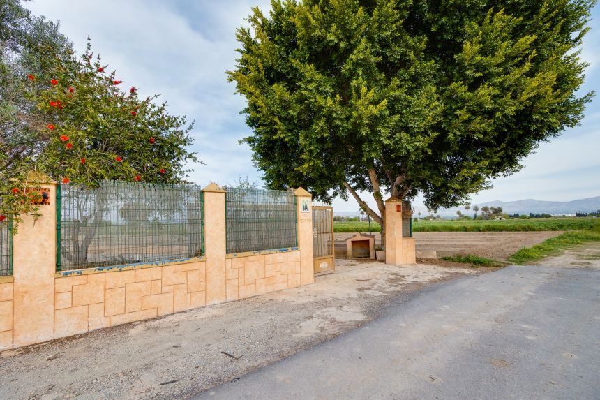 Vista exterior de Casa o xalet en venda en Almansa amb Terrassa i Moblat