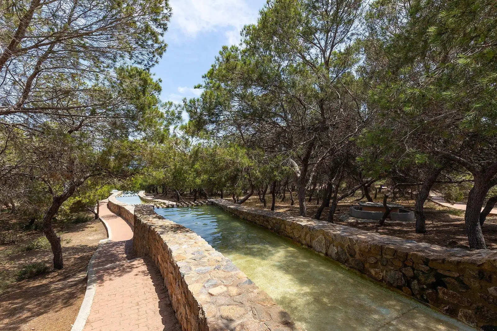 Reihenhaus mit Terrasse zum Verkauf in La Mata, imagen 29