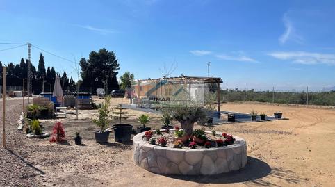 Photo 3 of Residential for sale in La Algoda - Matola - Llano de San José, Elche / Elx