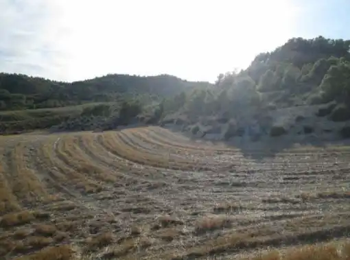 Terrains et parcelles à vendre à Lg Castañeda y Umbrías de La Pinosa, Pol 313, imagen 10