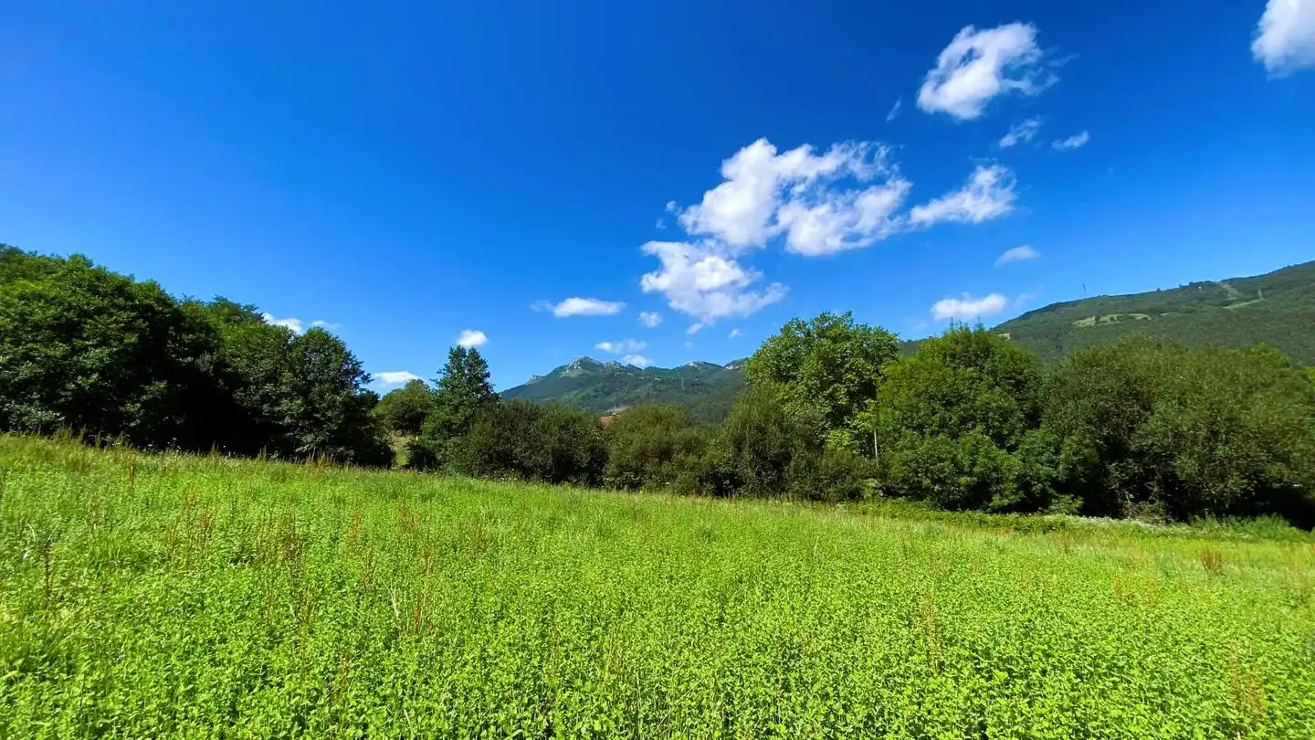Lands and plots for sale in Ampuero, imagen 4