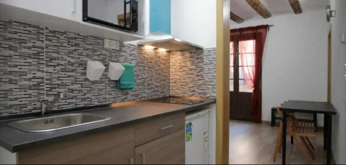 Room in Sant Pere, Sta. Caterina i la Ribera