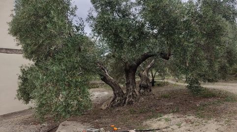 Foto 4 de Terreno en venta en N/a, -1, Valdeastillas - Fuentezuelas, Jaén Capital