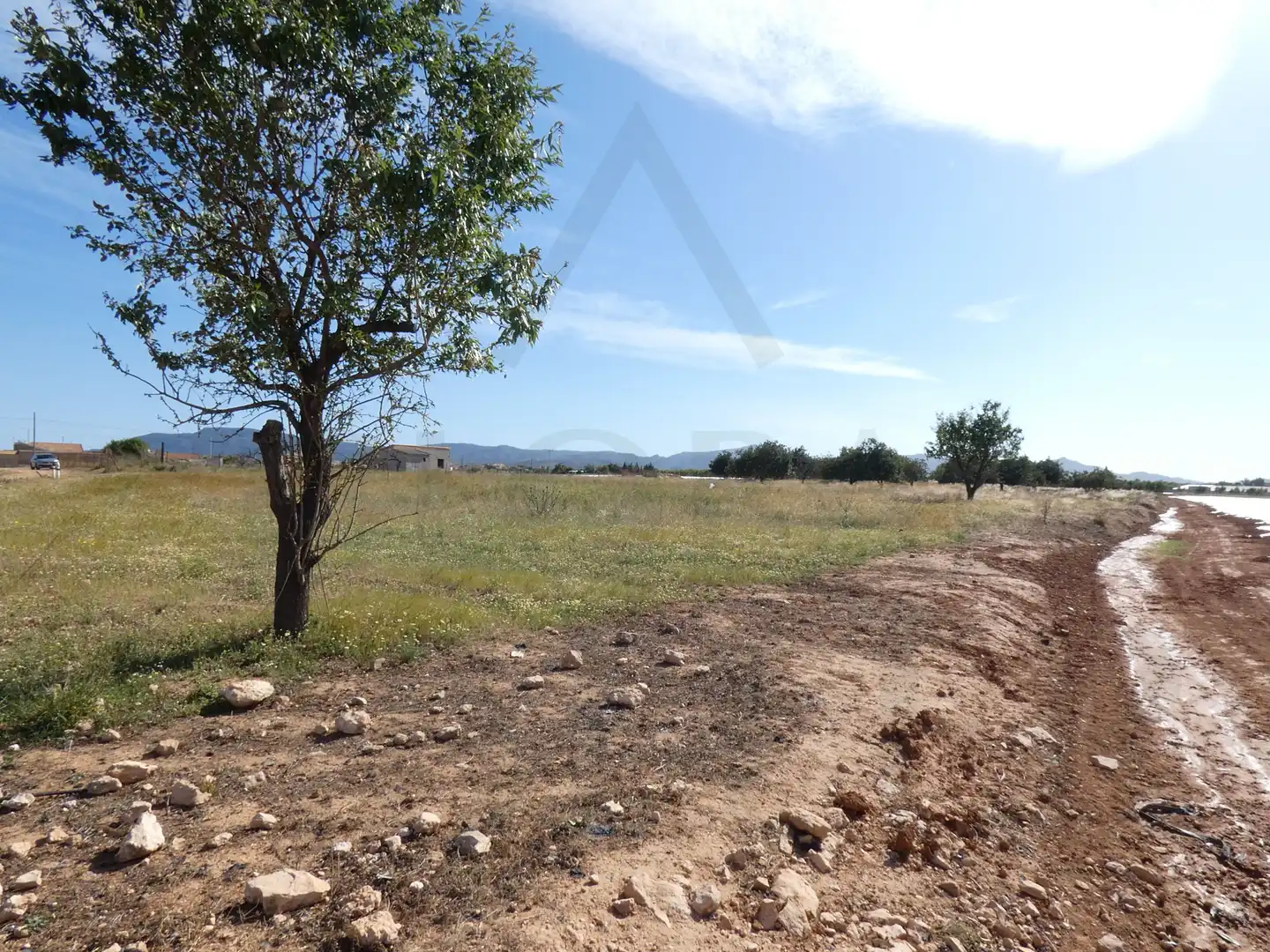 Terreni e lotti in vendita a Pedanías Oeste, imagen 19