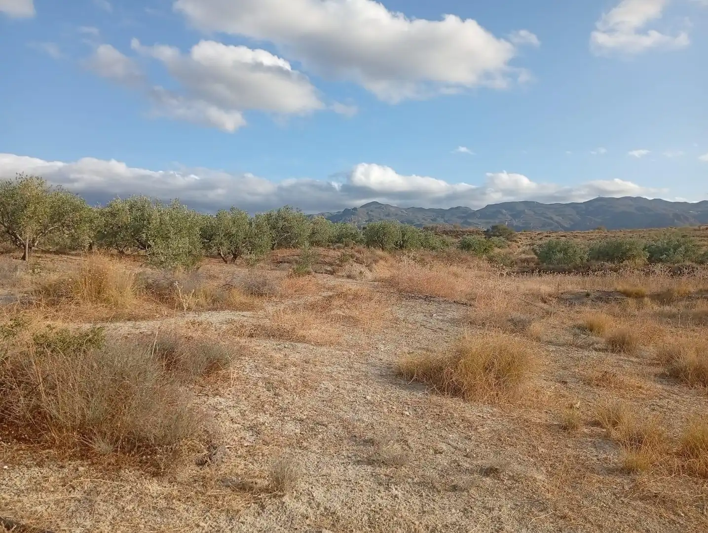 Terrenys i solars en venda a Los Gallardos, imagen 11