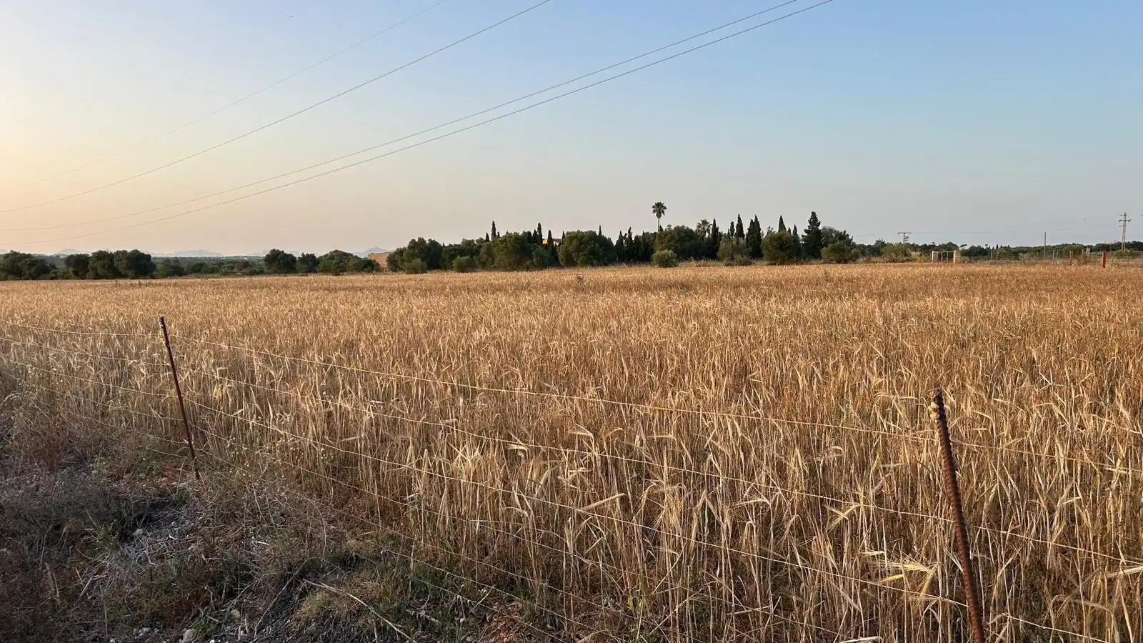 Wohnbaugrundstück zum Verkauf in Ariany, imagen 12