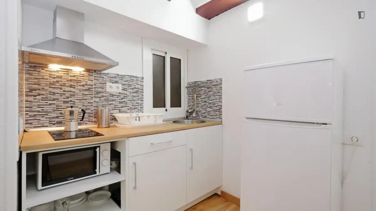 Wohnung zur Miete in El Raval