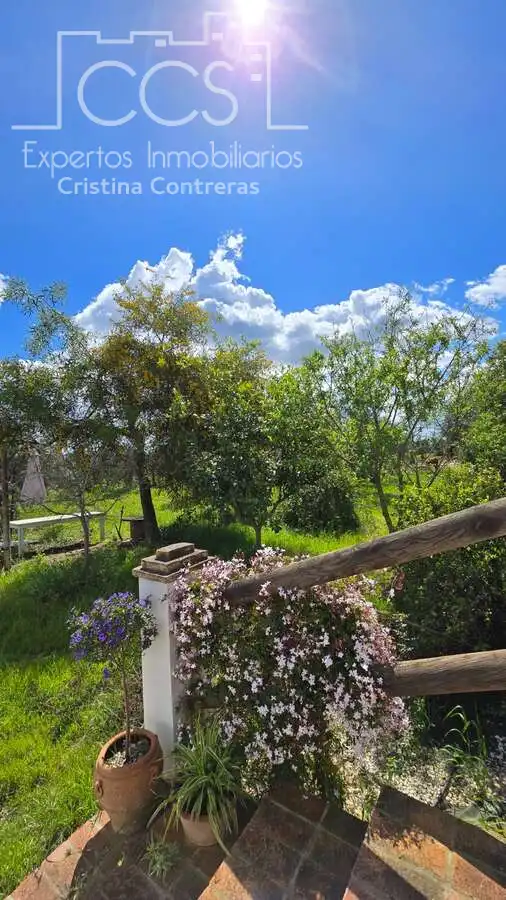 Garden of Country homes for sale in Pilas  with Air Conditioner, Terrace and Storage room