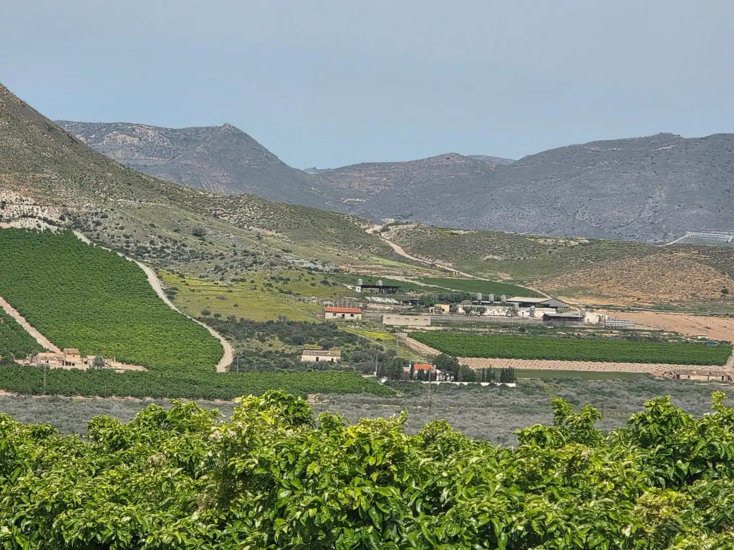 Exterior view of Land for sale in Lorca