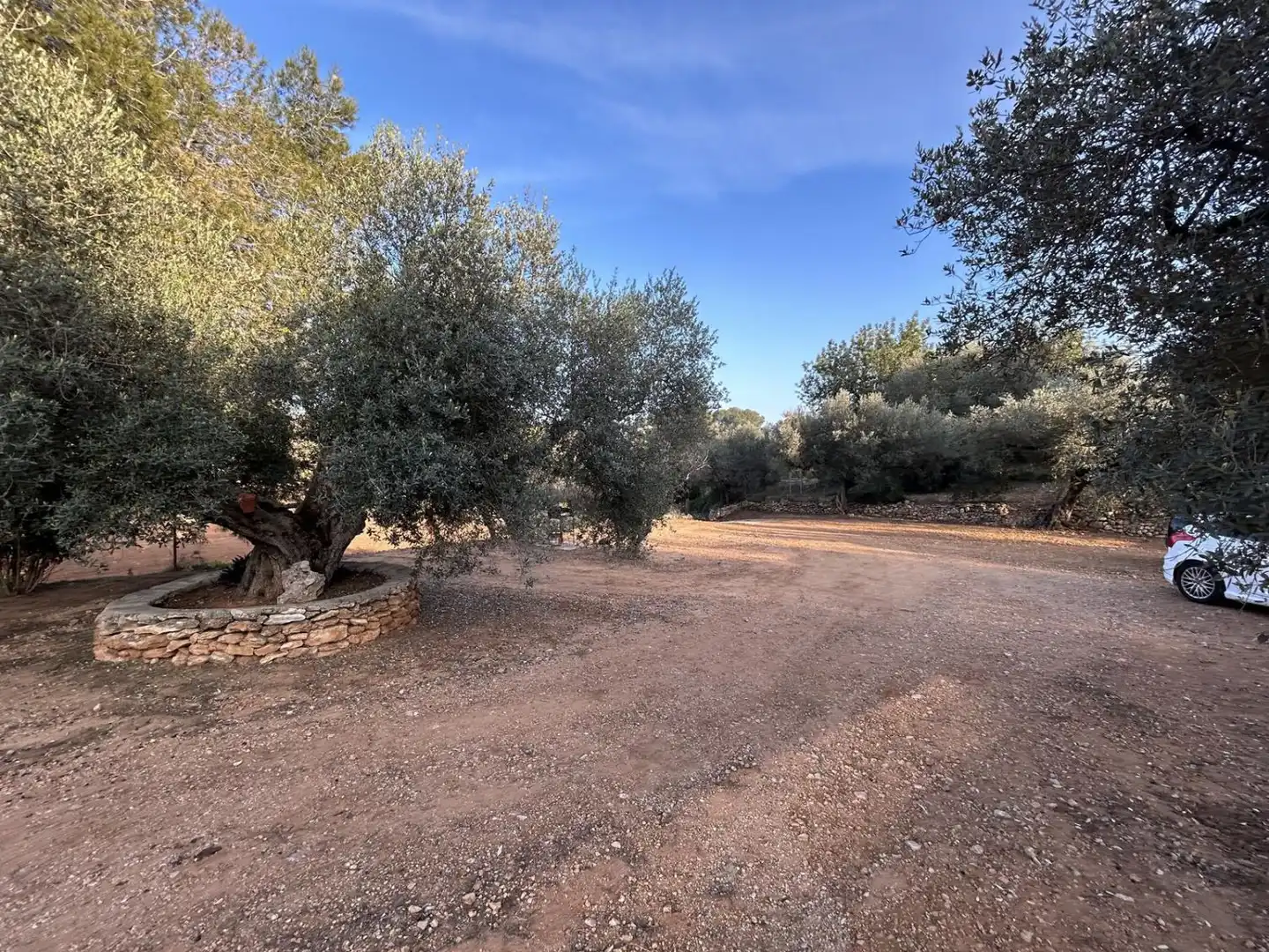 Finca rústica en venda en Masdenverge
