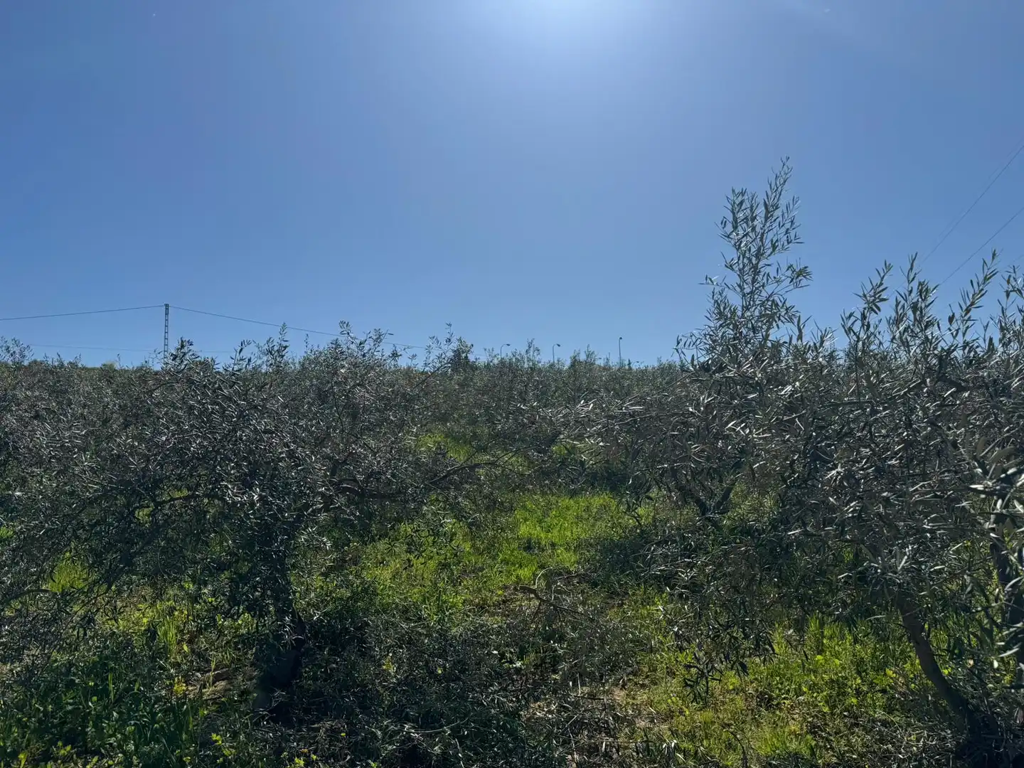 Terreni e lotti in vendita a Álora, imagen 8