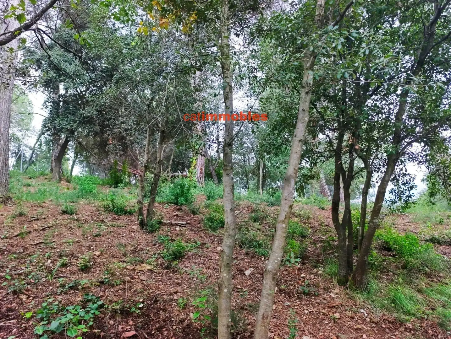 Terreny residencial en venda a Rosa Mariné, imagen 29