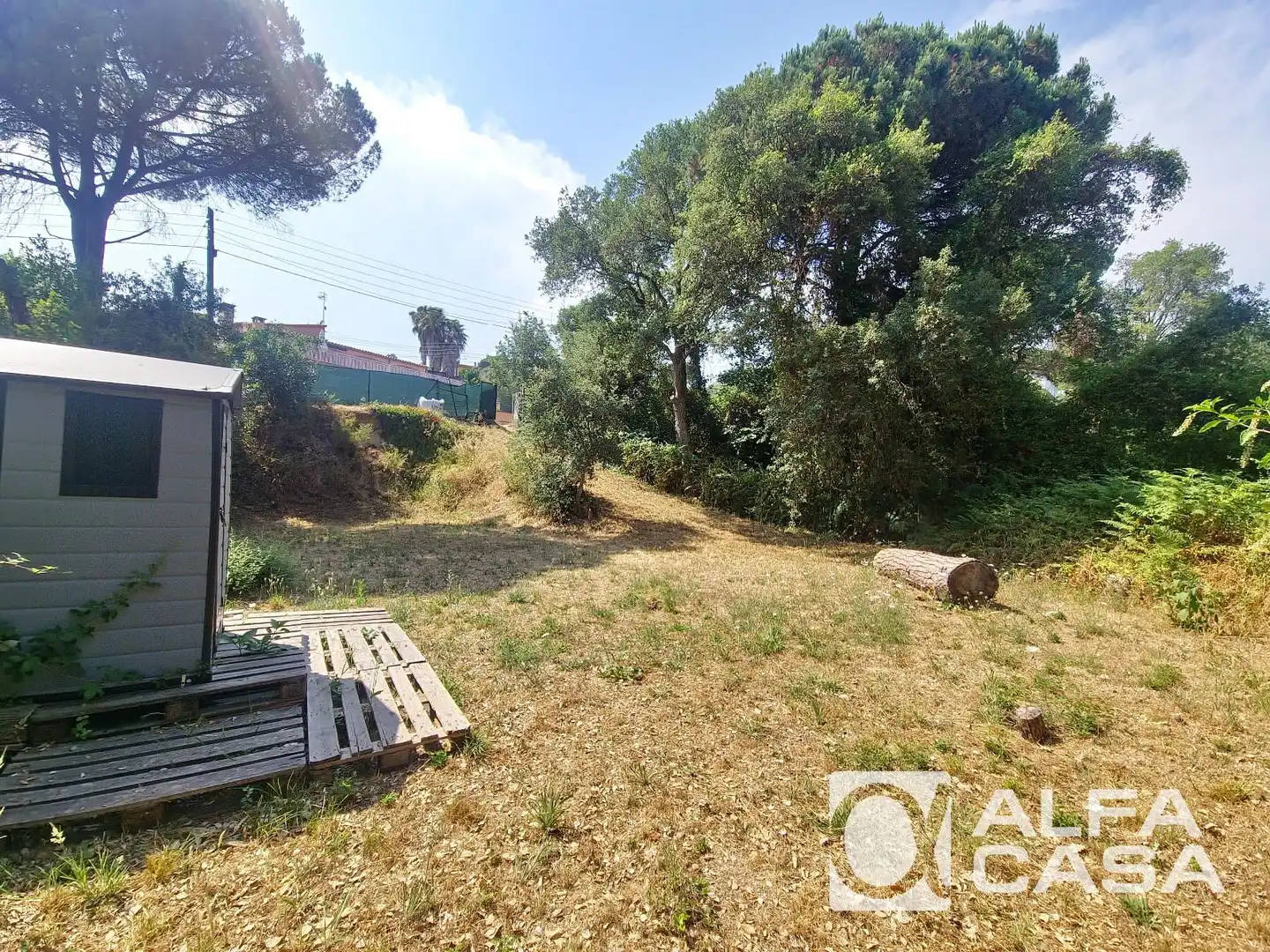 Terrain rustique à vendre à Llorer, imagen 13