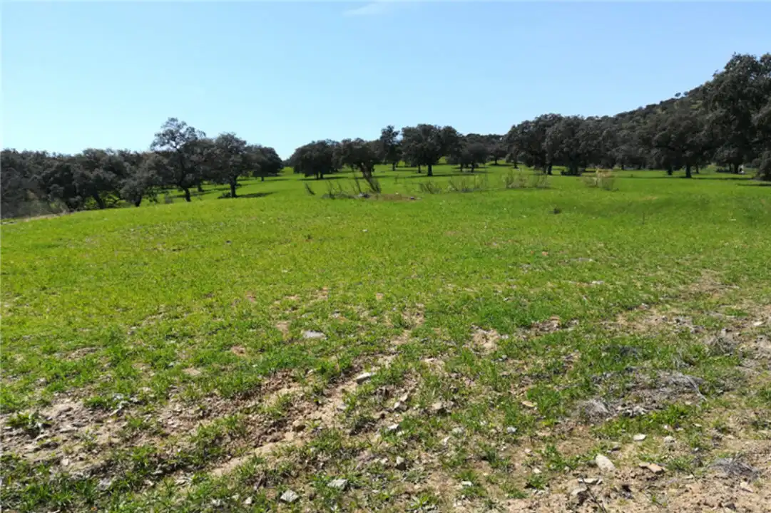 Terreno en venta en Zona Centro
