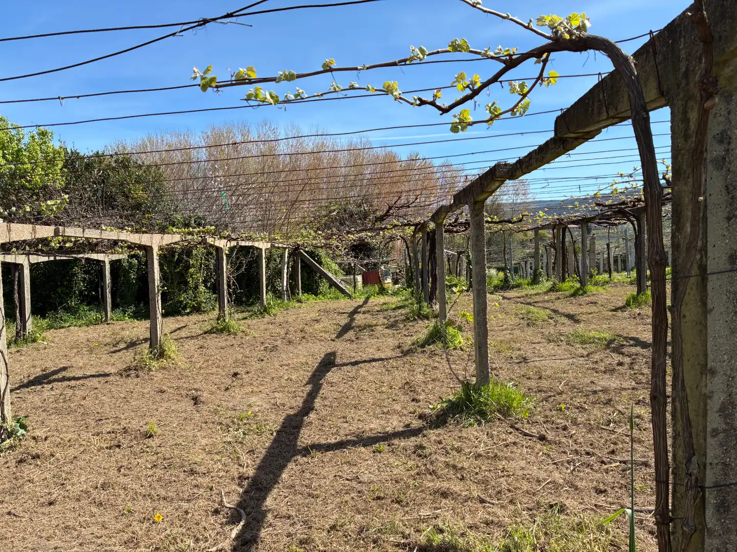 Casa en venda a Rúa souto 2, imagen 35