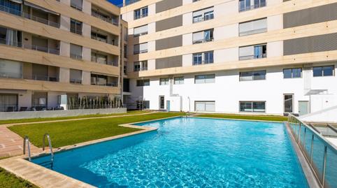 Photo 3 of Flat to rent in Palma de Mallorca - Calle Economo Parera, El Terreno,  Palma de Mallorca