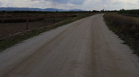 FINCA RUSTICA JUNTO AL PUEBLO, immagine 2