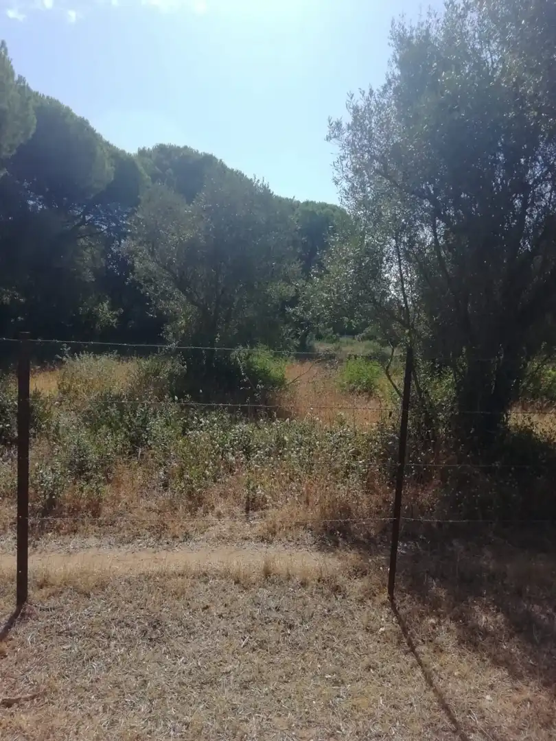 Terreno residencial en venta en Vejer, imagen 3