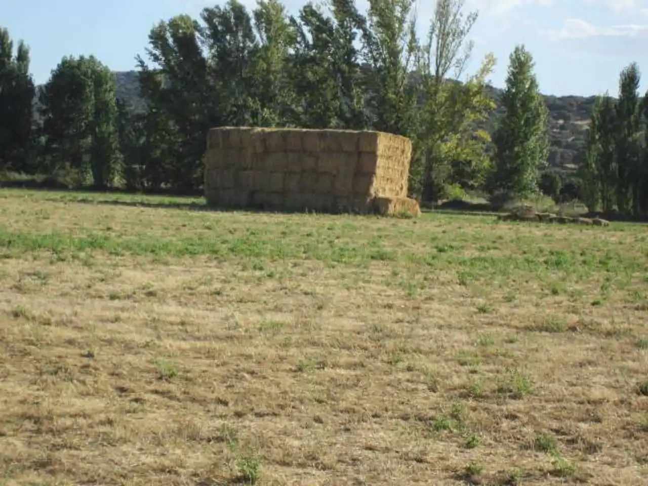 Terreno residencial en venta en Poligono 20, imagen 6