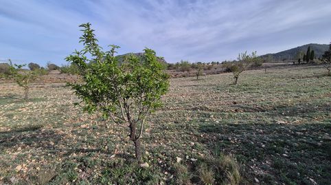 VENTA DE CAMPO, imagen 2