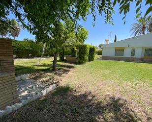 Jardí de Casa o xalet en venda en Umbrete amb Terrassa