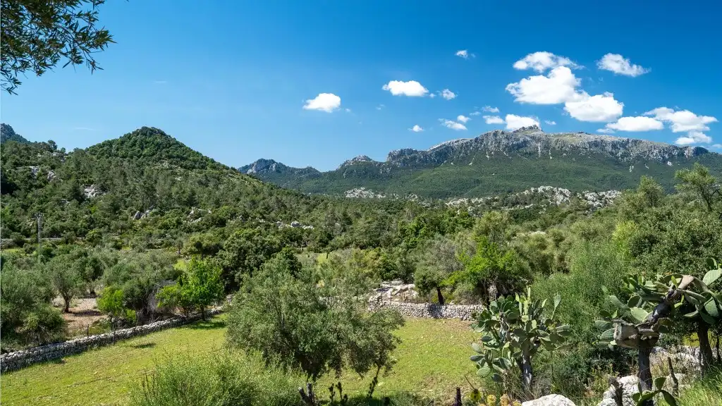 Maison rustique à vendre à Escorca, imagen 21