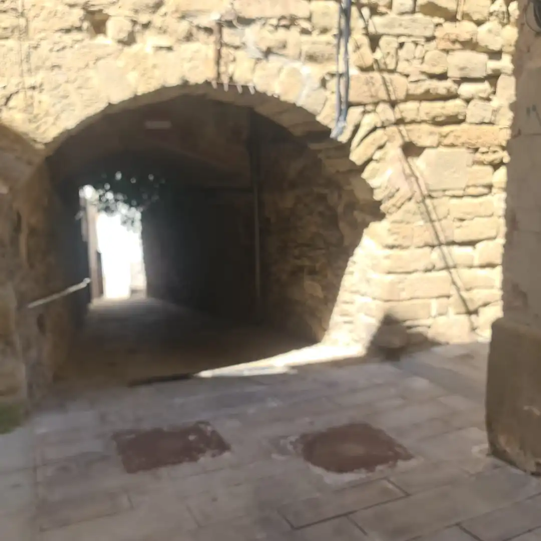 Houses for sale in Ivorra