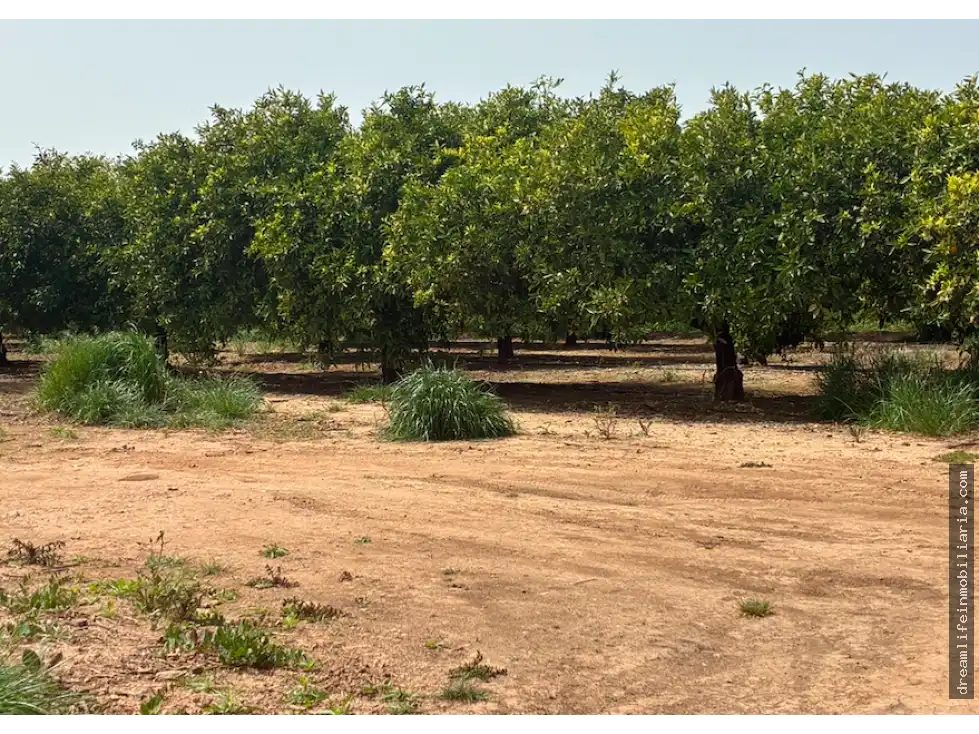 Terrenys i solars en venda a Playa - Ben Afeli, imagen 7