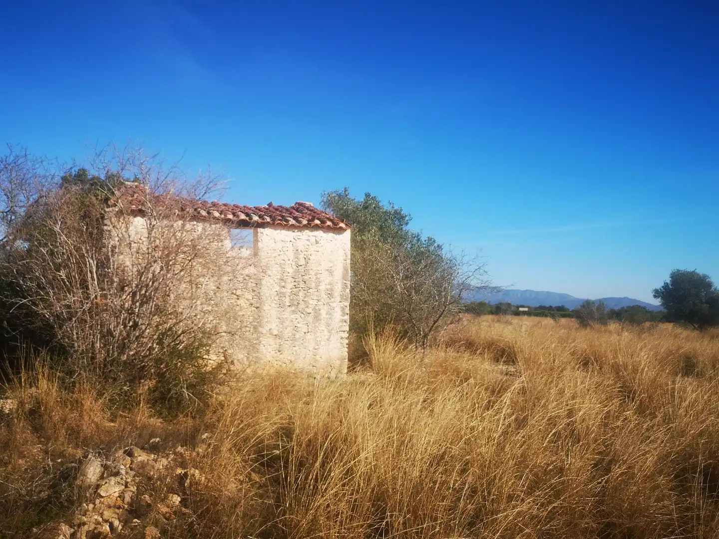Terreno rustico in vendita a Traiguera