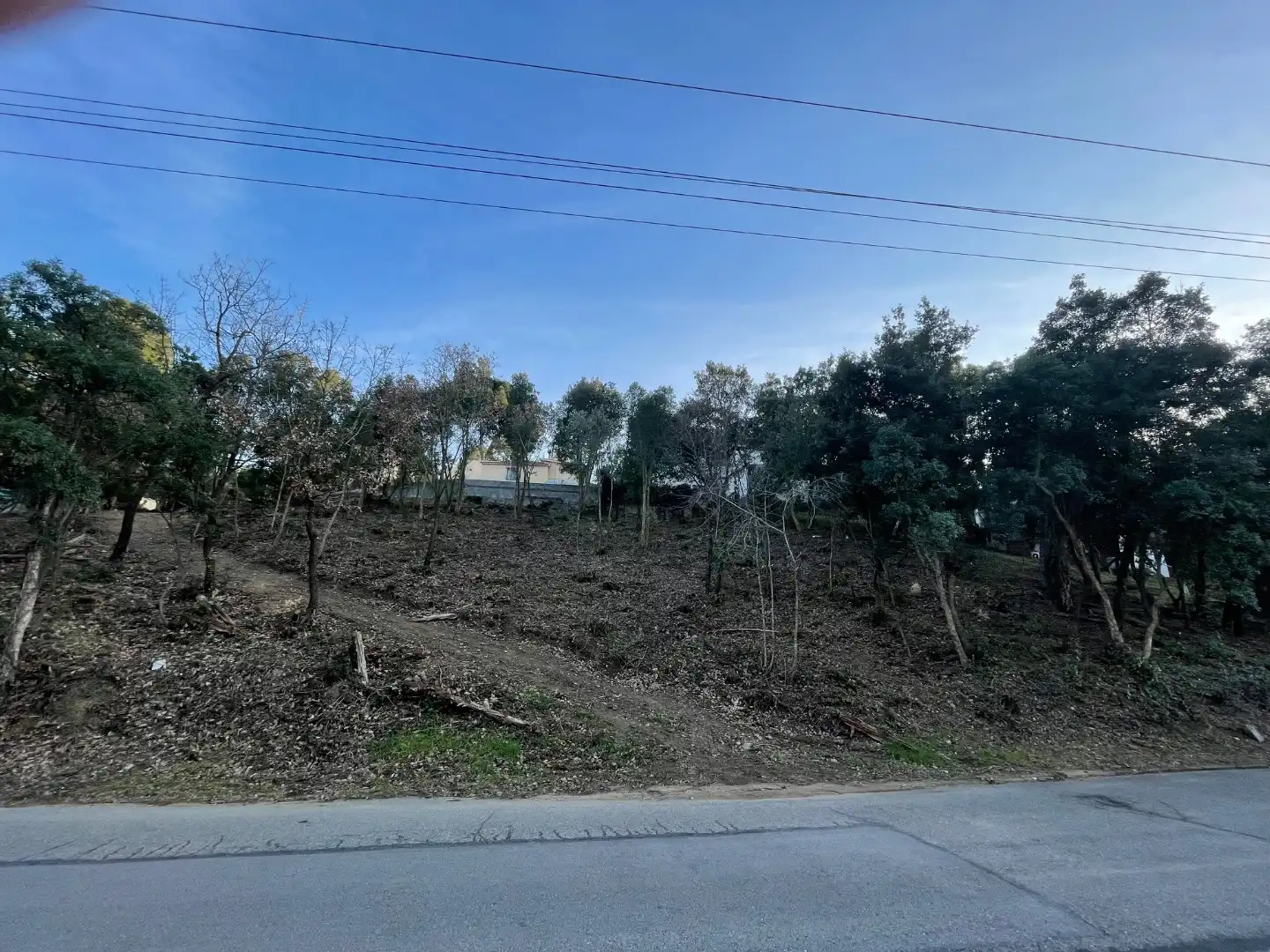 Terreny residencial en venda a Pi ric 205, imagen 7
