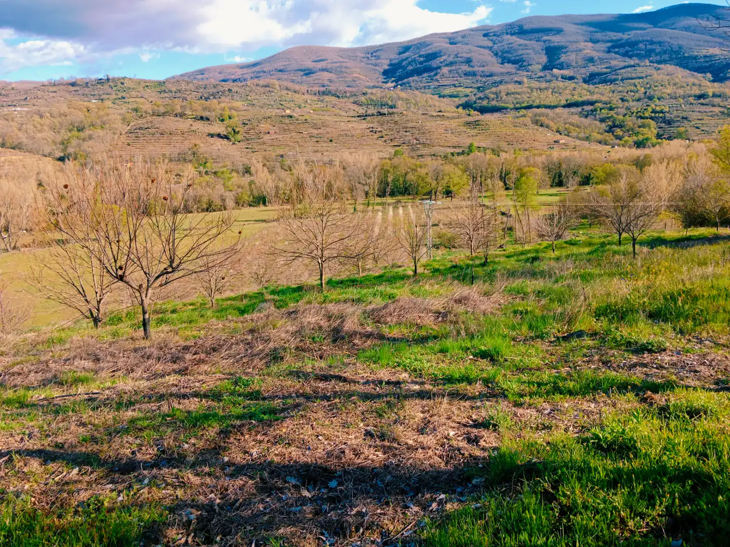 Terreno en venta en El Torno 