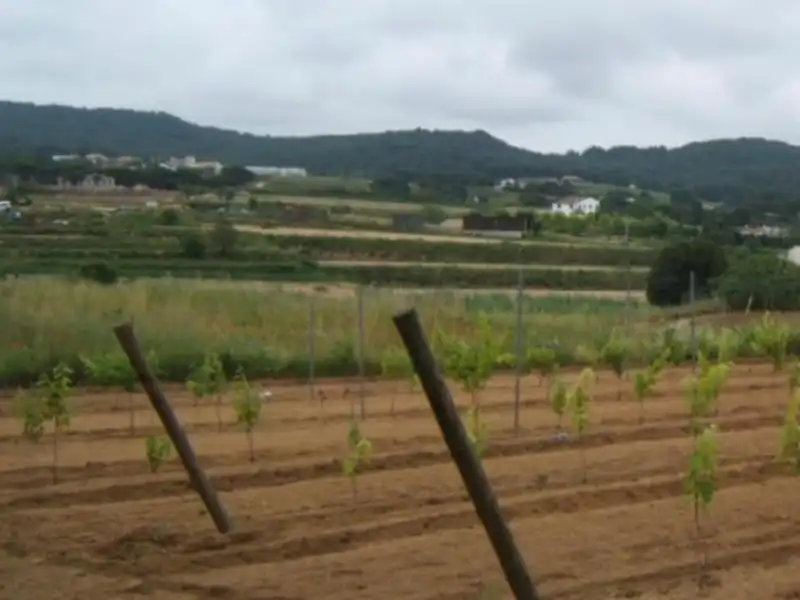 Maison à vendre à Tordera pueblo, imagen 5