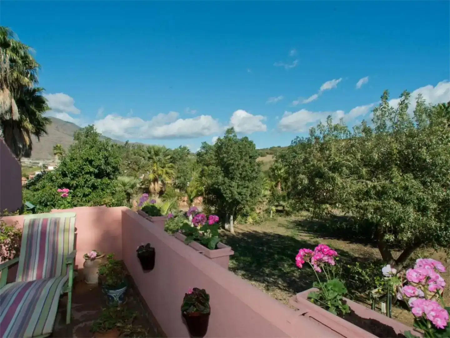 Jardín de Finca rústica en venta en Estepona