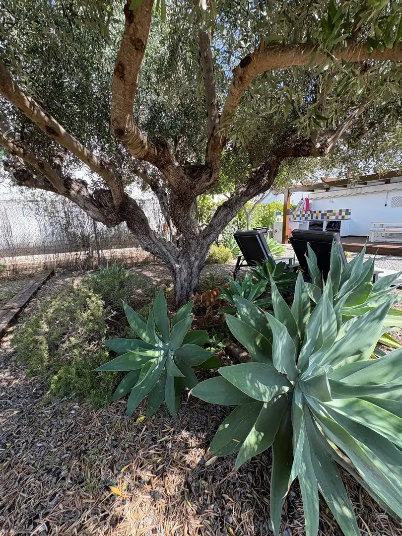 Garden of Detached homes for rent in Benissa  with Heating, Private garden and Terrace