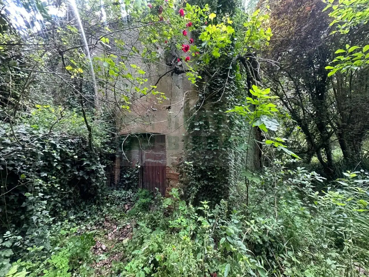 Finca rústica en venta en La Pera