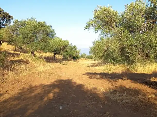 Residencial en venda en Barcarrota
