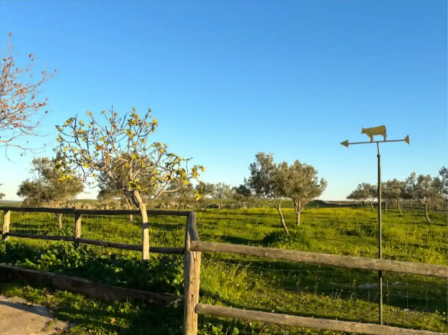 Finca rústica en venda en Cáceres Capital amb Piscina