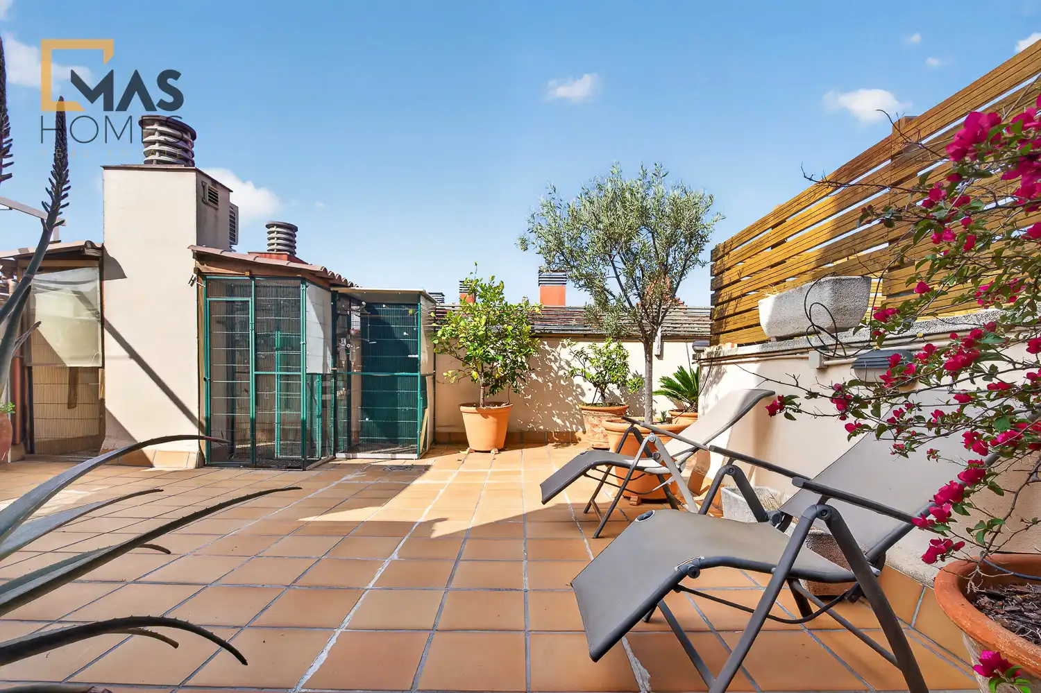 Ático con terraza en venta en Carrer de l'Escola Pia, imagen 20